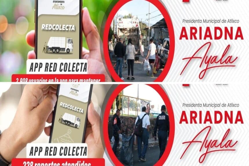 Ariadna Ayala RED COLECTA