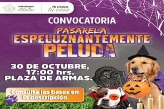 Atlixco disfraces para lomitos