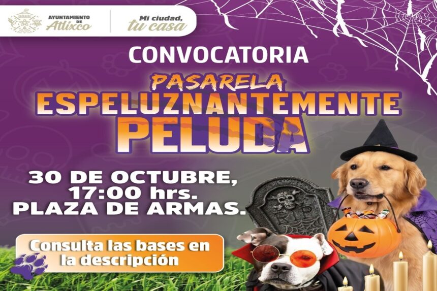 Atlixco disfraces para lomitos