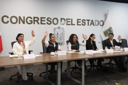 Comisión del Congreso Salud Mental